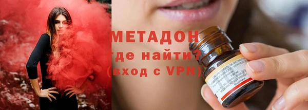 шишки Каменногорск