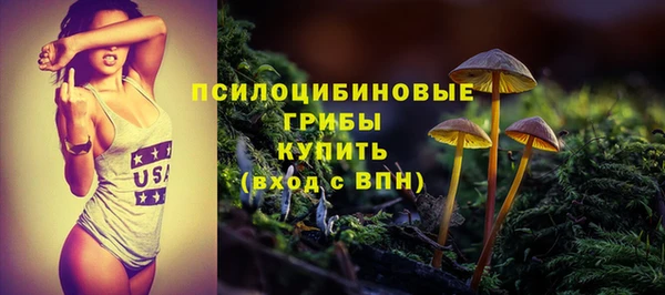 сатива Касимов