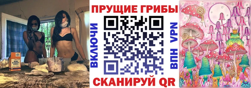 Псилоцибиновые грибы Psilocybine cubensis  Купить закладки  Ефремов 